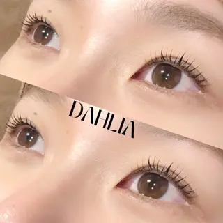 マツエク・マツパ Dahliaダリア 斉藤のマツエク・マツパデザイン