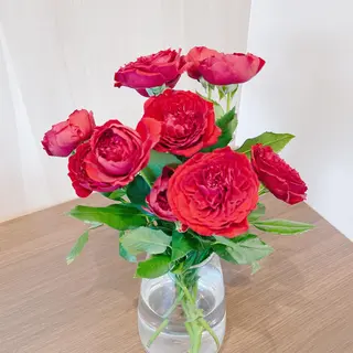 水野 志穂のエステ・リラクイメージ