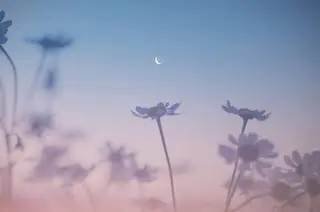 🌼二本柳 🌼のヘアスタイル