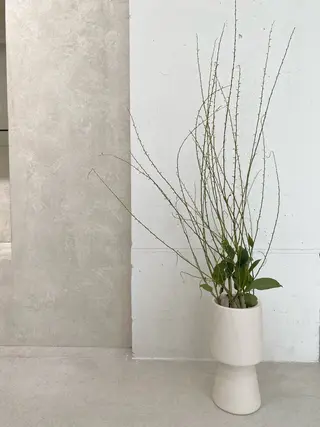 キッズ 🪻花屋併設🪻秀島 有紀のヘアスタイル