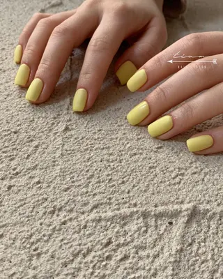 ネイル 𝑡𝑖𝑎𝑚𓂃 きむらゆきののネイルデザイン