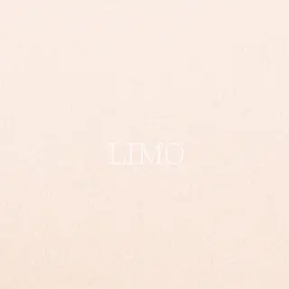 Limo-hair&relax-所属・【似合わせ美容師 ✂️】吉澤和幸のヘアスタイル