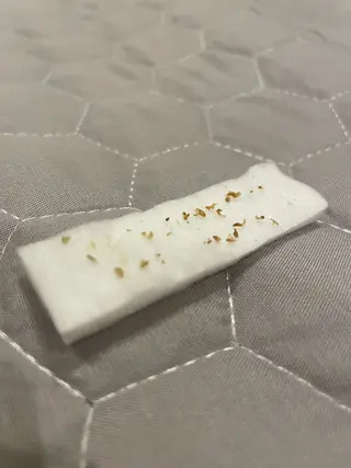 Wita   aesthetic×eyelash所属・上坂 祐以のエステ・リラクイメージ