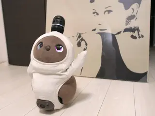 Lunaria 星見のエステ・リラクイメージ