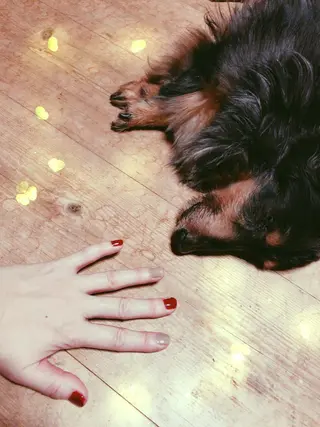 岩井 秋子のエステ・リラクイメージ