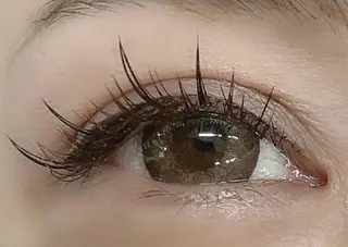 マツエク・マツパ private salon clair（クレール）赤坂店所属・clair白鳥 まつ毛/眉/脱毛のマツエク・マツパデザイン