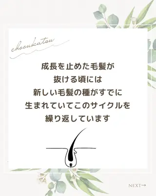 ショート カラー パーマ コゾノ ミキコのヘアスタイル