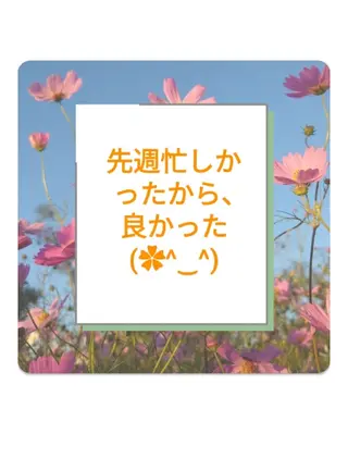 錦糸町 ハッピーウーマンのマツエク・マツパデザイン