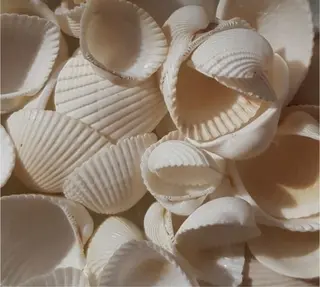 Bless hair &spa所属・🫧縮毛矯正／カラー ／bless松浦🫧のヘアスタイル