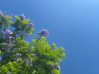 basico  のエステ・リラクイメージ