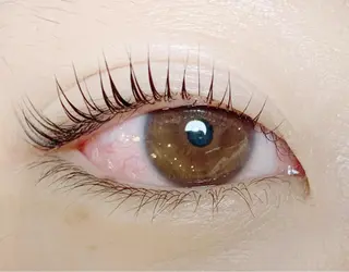 マツエク・マツパ ROSANNA 斉藤のマツエク・マツパデザイン