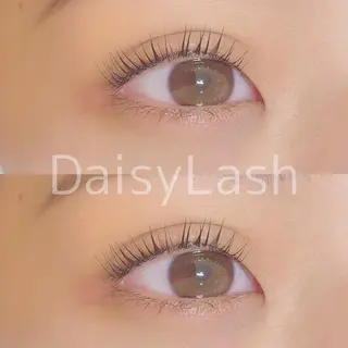 マツエク・マツパ DaisyLash 京橋店のマツエク・マツパデザイン