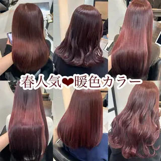 ミディアム カラー 🤍透明感/韓国風 🤍サクラギヒトミのヘアスタイル