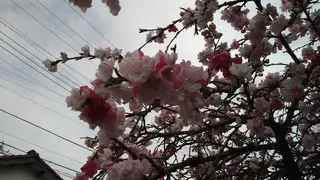 関 春都のエステ・リラクイメージ