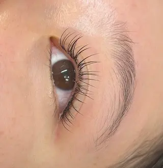 マツエク・マツパ MAQUIA蒲田店 横山のマツエク・マツパデザイン