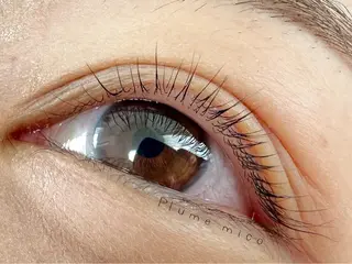 マツエク・マツパ Plume micoのマツエク・マツパデザイン