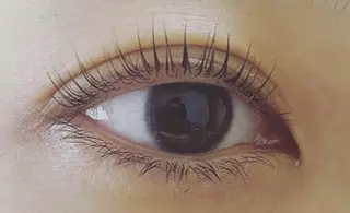 マツエク・マツパ TReiS所属・TReiS eyelashのマツエク・マツパデザイン