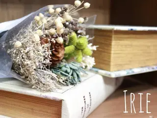 マツエク・マツパ eyelash salon　IRIEのマツエク・マツパデザイン