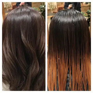 ミディアム カラー 森 海のヘアスタイル