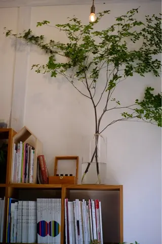 COTON人形町 YUKIの眉毛・アイブロウイメージ