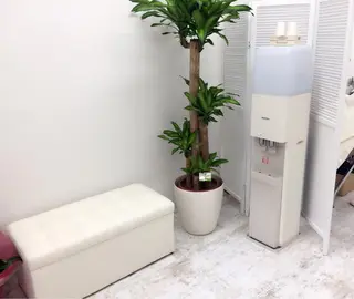 マツエク・マツパ chelien 下赤塚のマツエク・マツパデザイン