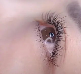 マツエク・マツパ Cute B e au t yのマツエク・マツパデザイン