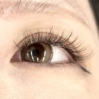 マツエク・マツパ Eyelash 大阪梅田 MAXKELLY【アイラッシュ ウメダ マックスケリー】所属・🦋maxkelly .mizuki🦋のマツエク・マツパデザイン