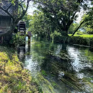 小濱 秀人のヘアスタイル