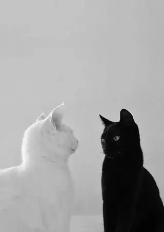 eyelash✨🫧 Saki🌙.*・゚のマツエク・マツパデザイン