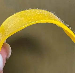 SALON DE BELLECOA所属・RINA ♡のエステ・リラクイメージ