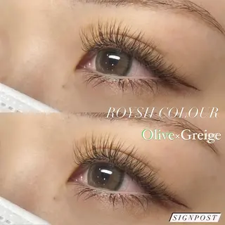 マツエク・マツパ signpost 田村の眉毛・アイブロウイメージ