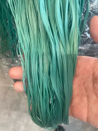 カラー GaKu/ハイトーン /ブリーチ/レイヤーのヘアスタイル