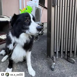 ミディアム カラー メンズ 🩷Eny terrace🩷のヘアスタイル