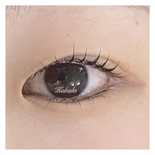 マツエク・マツパ 眼科監修まつ毛エクステ専門店　アイラッシュリゾート　カハラ　新宿店所属・🥞ツノダ eyelash🧸のマツエク・マツパデザイン