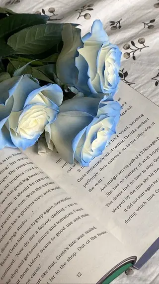 マツエク・マツパ 🌙 ａｓｕｋa 🫧のマツエク・マツパデザイン