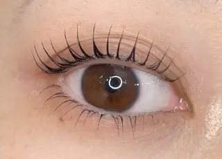 マツエク・マツパ アレグレス所属・アレグレス@池袋 🌹大人気店🌹のマツエク・マツパデザイン