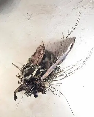 oyanagi 〰️の眉毛・アイブロウイメージ