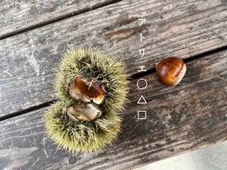 ネイル アトリエ ○△□のネイルデザイン