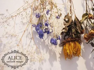 ALICE nanaのマツエク・マツパデザイン