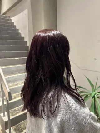 カラー ナチュラルカラー /カット/藤井美冬のヘアスタイル