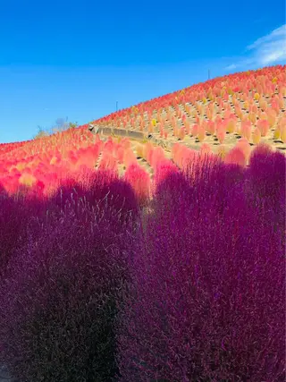 伊藤名紬 マツエク専門のマツエク・マツパデザイン