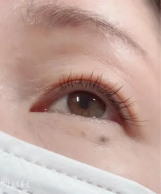 マツエク・マツパ orihara𐙚 まつげパーマ/眉毛のマツエク・マツパデザイン