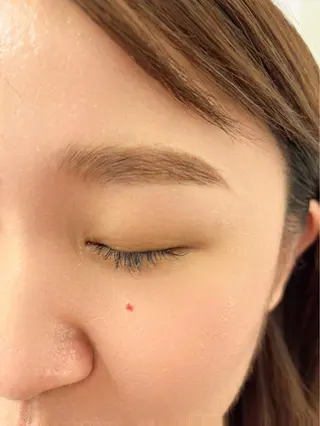 アイブロウ 田中 美穂の眉毛・アイブロウイメージ