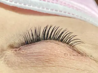 マツエク・マツパ Plume micoのマツエク・マツパデザイン