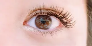 マツエク・マツパ Gypsy kinshicho〜パリジェンヌ･アイブロウ･LED･フェイスWax所属・RUKA /Gypsy錦糸町のマツエク・マツパデザイン