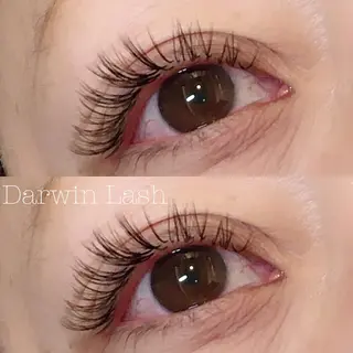 マツエク・マツパ まつげと眉毛のお店Sakura Lash【サクララッシュ】所属・【ダメージケア特化】 🌸 サクララッシュの眉毛・アイブロウイメージ