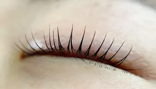 マツエク・マツパ Plume micoのマツエク・マツパデザイン