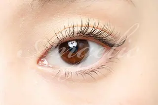 マツエク・マツパ マツエク・マツパ 募集のマツエク・マツパデザイン