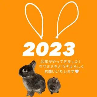 ネイル 本町ネイルNail UsaMimiのネイルデザイン