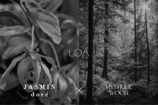 カラー 🖤ྀི渡邉 あみか🖤ᩚのヘアスタイル